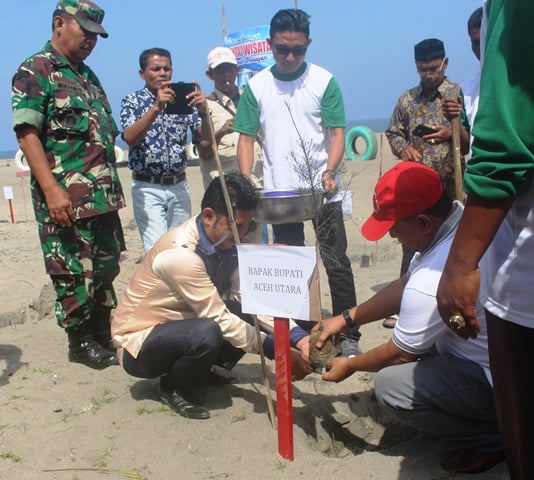 Bupati Aceh Utara diwakili Kadis Lingkungan Hidup dan Kebersihan, Drs T Safwansyah saat menanam pohon Cemara laut di pantai Geulumpang Sulu Timu, Minggu (22/12).