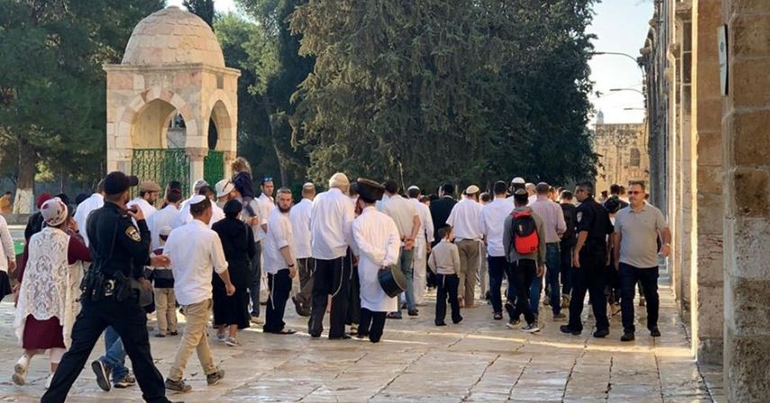 Pemukim Yahudi Serbu Masuk Masjidil Aqsa (Foto: palinfo)