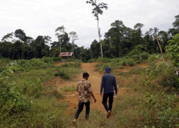 Kawasan Hutan Lindung Lauser di wilayah Aceh Utara, poto dok.MaTA