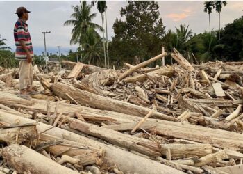 Tumpukan gelondongan kayu di Geudumbak, kecamatan Langkahan, Aceh Utara. poto milik ajnn